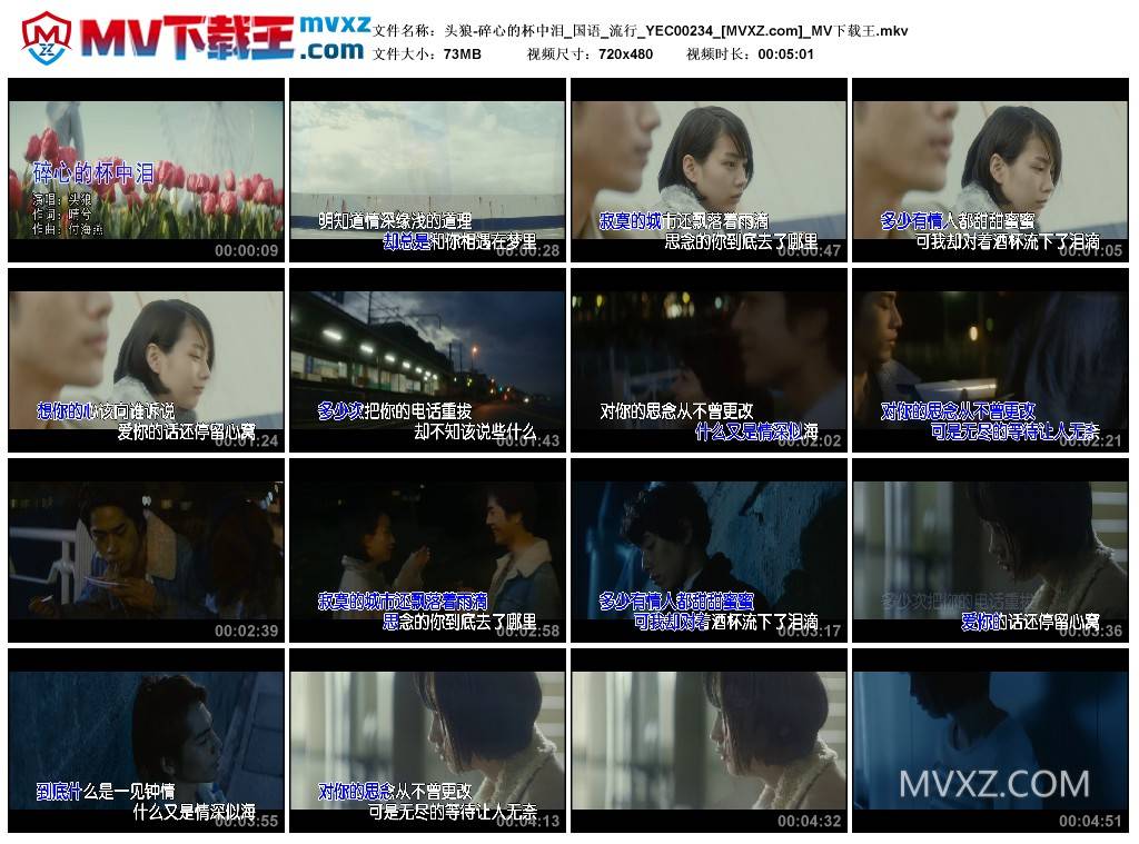 头狼-碎心的杯中泪_国语_流行_YEC00234